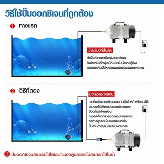 ปั๊มลมตู้ปลา ปั๊มอ็อกซิเจนบ่อปลา Bonetar รุ่น ACO-208–500 เสียงเงียบ ประหยัดไฟ ชุดครบเซต สำหรับตู้ปลาและบ่อปลา