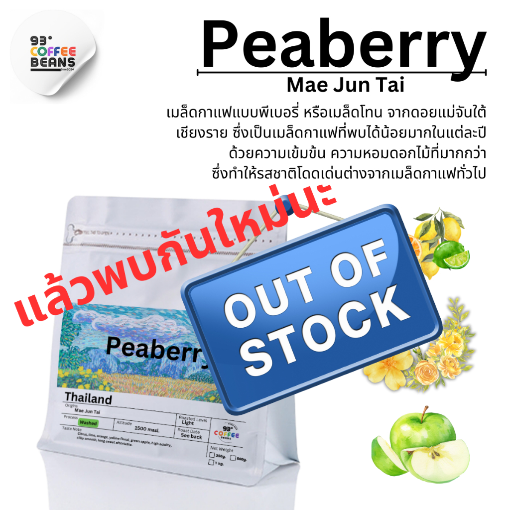 Peaberry By 93 Degree Coffee เมล็ดกาแฟคั่ว พีเบอรี่ คั่วอ่อน