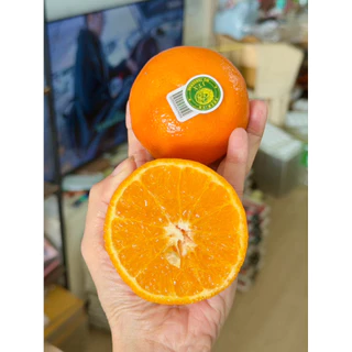 ส้มไต้หวันพรีเมียม 1 กิโลไซด์จัมโบ้ 🍊รับประกันสินค้า ฝากผู้ใหญ่ จัดกระเช้า ไหว้ สดพร้อมส่ง🔥กทม.จัดส่งด่วนได้รับภายใน4ชม.