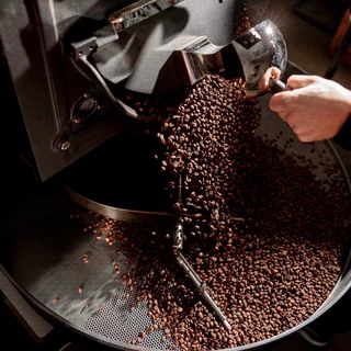 เมล็ดกาแฟ " NEW " ETHIOPIA GUJI GELENA GEISHA (คั่วอ่อน) by OLDMAN ROASTER
