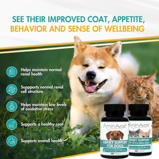 Preorder28Aug❌ตัวแทน Renavast😻AminAvast Kidney Support for Cats and small Dogs 60 Capsules นำเข้าจากUSA