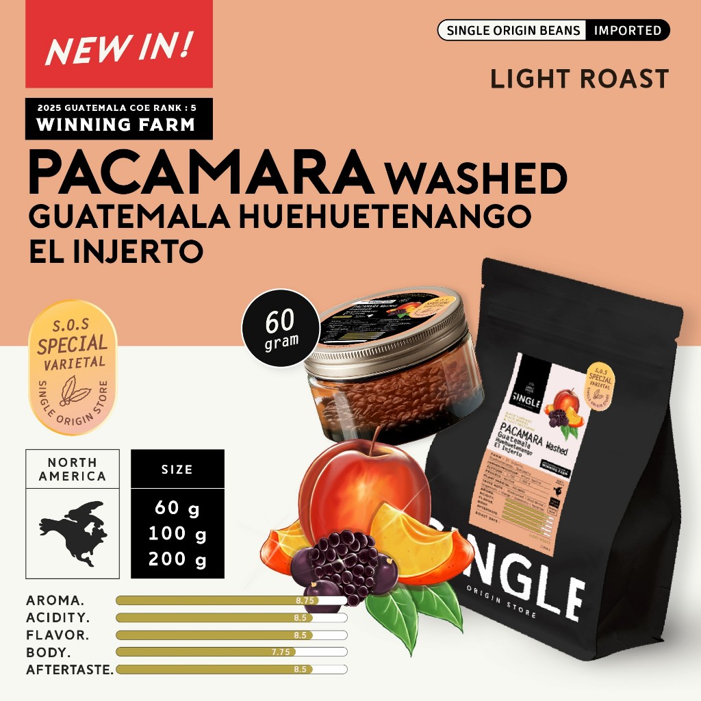 (Flash Sale รอบคั่ว 30/4-12/5 ขนาด 60-200g) เมล็ดกาแฟคั่วอ่อน Pacamara Washed Guatemala Huehuetenango El Injerto
