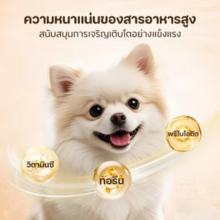 TUBIอาหารเปียกสุนัข รสชาติอร่อย | สำหรับหมาทานยาก บำรุงสุขภาพลำไส้และผิวหนัง | สุนัขทุกสายพันธุ์และทุกวัย ขนมสำหรับสุนัข