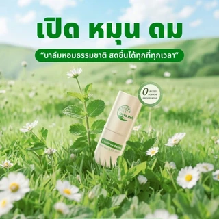 (1-5ชิ้น) Terra Pafe balm เทอร่า พาเฟ่ บาล์มคอมเฟรย์ ยาดมบรรเทาวิงเวียน ไมเกรน คันแมลงกัด บาล์มแท่ง บาล์มอโรม่า