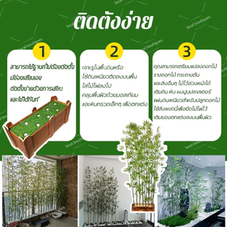 🌸ซื้อเยอะลดเยอะ🔥ต้นไม้ปลอม ต้นไม้ปลอมใหญ่ 120/150/200cm ความจำลอง99% โดนแดด โดนฝน สีไม่ซีดจา สำหรับตกแต่งบ้านและสว