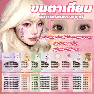 ขนตาปลอม กาวในตัว ติดง่าย เรียงเส้นสวย เป็นธรรมชาติ มีให้เลือกถึง 8 ทรง