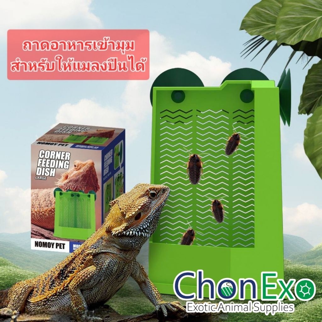 (พร้อมส่ง)ถาดอาหารสำหรับให้แมลงปีน ราคาถูก Shopee Lazada