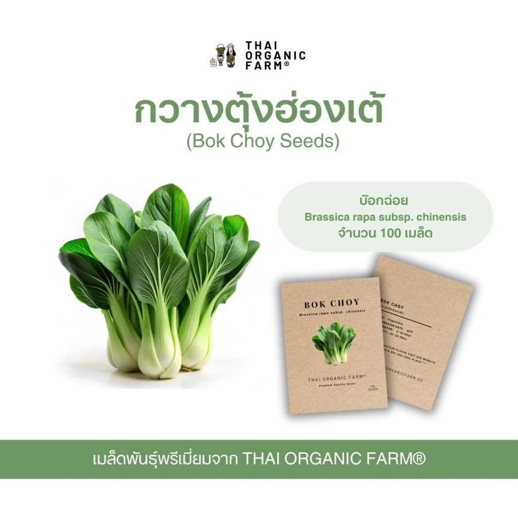 Premium Quality Seeds เมล็ดพันธุ์ กวางตุ้งฮ่องเต้ พรีเมี่ยม THAI ORGANIC FARM®