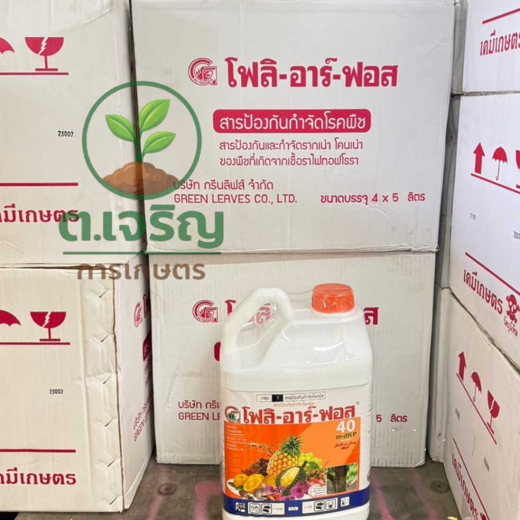 โฟลิ-อาร์-ฟอส40 (ขนาด 5 ลิตร)สารป้องกันกำจัดโรคพืช กรดฟอสโฟนิก สารกำจัดเชื้อรา สาเหตุของโรครากเน่าโคนเน่า ต้นป่วย ต้นตาย ราคา ถูกที่สุด ดีลบีเคเค แกลเลอรีภาพที่ 2