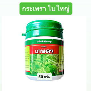 กะเพรา เกษตร ใบใหญ่ (กระป๋อง 50 กรัม)