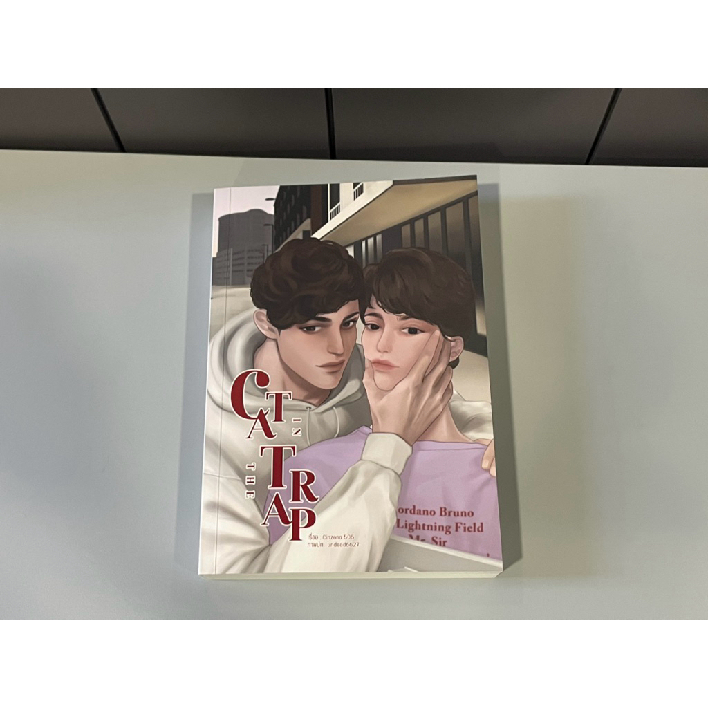 *สภาพดีมาก* Cat In The Trap - CINZANO505