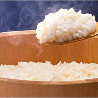 ข้าวไดโนเสาร์ ข้าวหอมมะลิแท้ 100% ข้าวใหม่ ขนาด 5 กก. หอม นุ่ม พร้อมส่ง