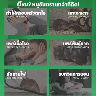 ตัวเลือกไล่หนูที่ดีที่สุด TIA ไล่หนู เจลไล่หนู ปลอดภัย ไม่มีสารพิษ ซื้อ 1 แถม 1 โปรโมชั่นหลากหลาย
