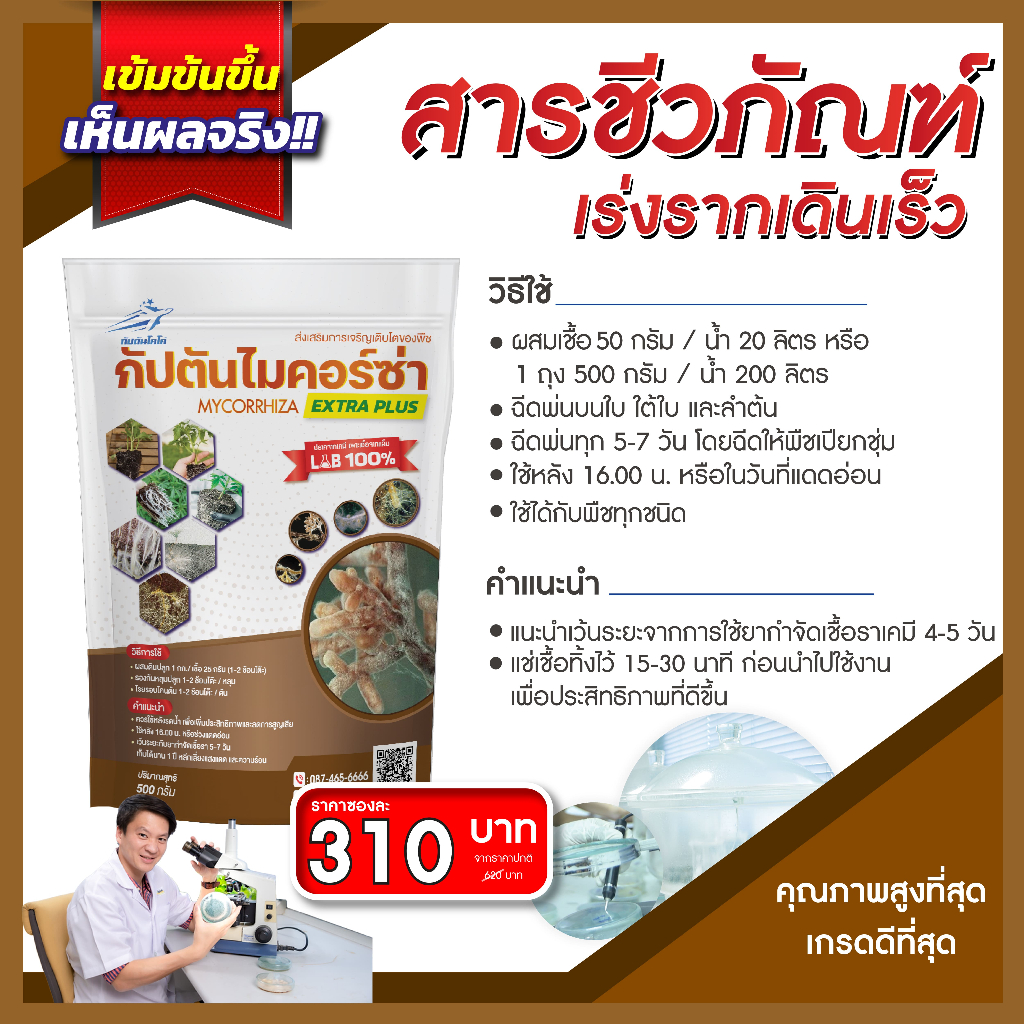 ไมคอร์ไรซ่า กัปตัน สูตรเข้มข้น เชื้อ 2 เท่า อัพอาหารเชื้อ (500กรัม)  เพาะเชื้อจาก LAB ปลอดภัย 100% รูปที่ 8