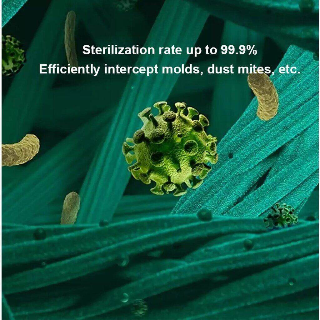 รูปภาพ 4