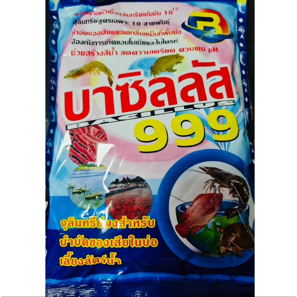 บาซิลลัส999 ขนาด 1 กิโลกรัม จุลินทรีย์ปรับสภาพน้ำ💧💧💧