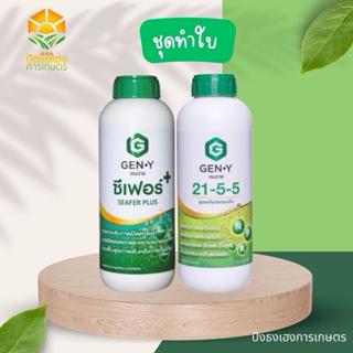 ชุดทำใบ 2 ขวด เจนวาย (ซีเฟอร์พลัส/เจนวาย 21-5-5) ช่วยกระตุ้น…