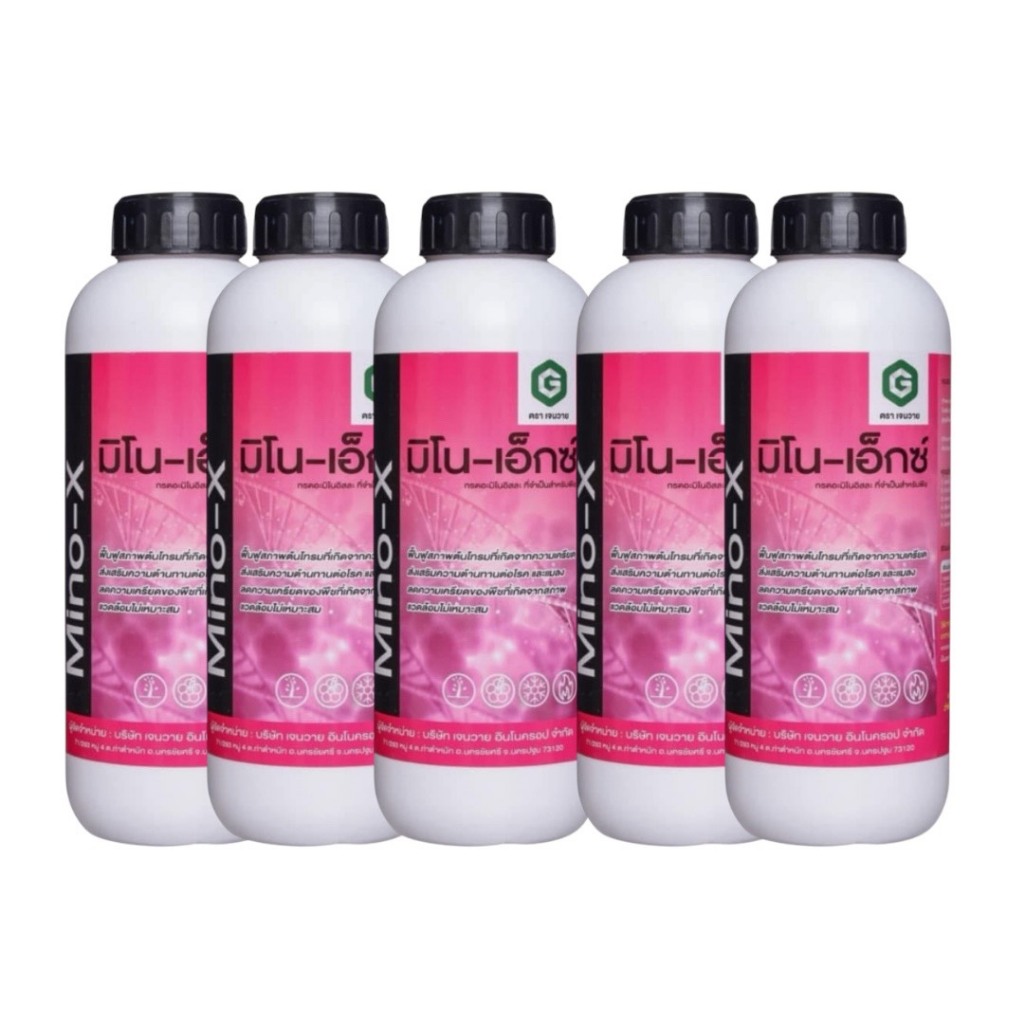 (1 ลิตร 5 ขวด)เจนวาย มิโน-เอ็กซ์ ขนาด 1 ลิตร GEN-Y อะมิโนเข้มข้น ช่วยในการสังเคราะห์แสง ส่งเสริมการเจริญเติบโต บำรุงดอก