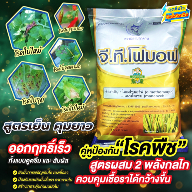 แมนโคเซบ +ไดเมโทมอร์ฟ 1 กิโลกรัม จี.ที.โฟมอฟ กำจัดโรคพืช ราน้ำค้าง ใบจุด โรคเน่า (ฟอรัม + ไดเทนเอ็ม)