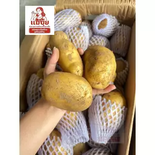 พร้อมส่ง‼️[ยกลัง] มันฝรั่ง #แม่ปุ้ย [10 กก./ลัง] หัวโตๆเน้นๆ สดทุกวัน หัวแน่นทุกถุง หวานธรรมชาติ อร่อยมั่นใจทุกเมนู🥔