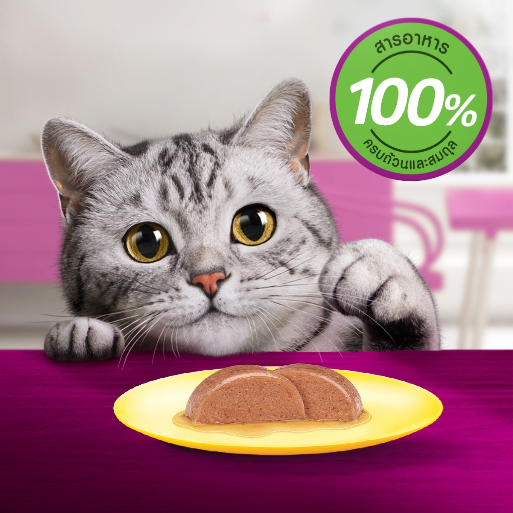 รูปภาพ 3