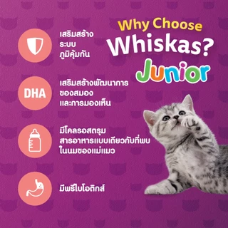 WHISKAS วิสกัส จูเนียร์ อาหารลูกแมว ชนิดแห้ง 2.7 กก. (4 แพ็ก)