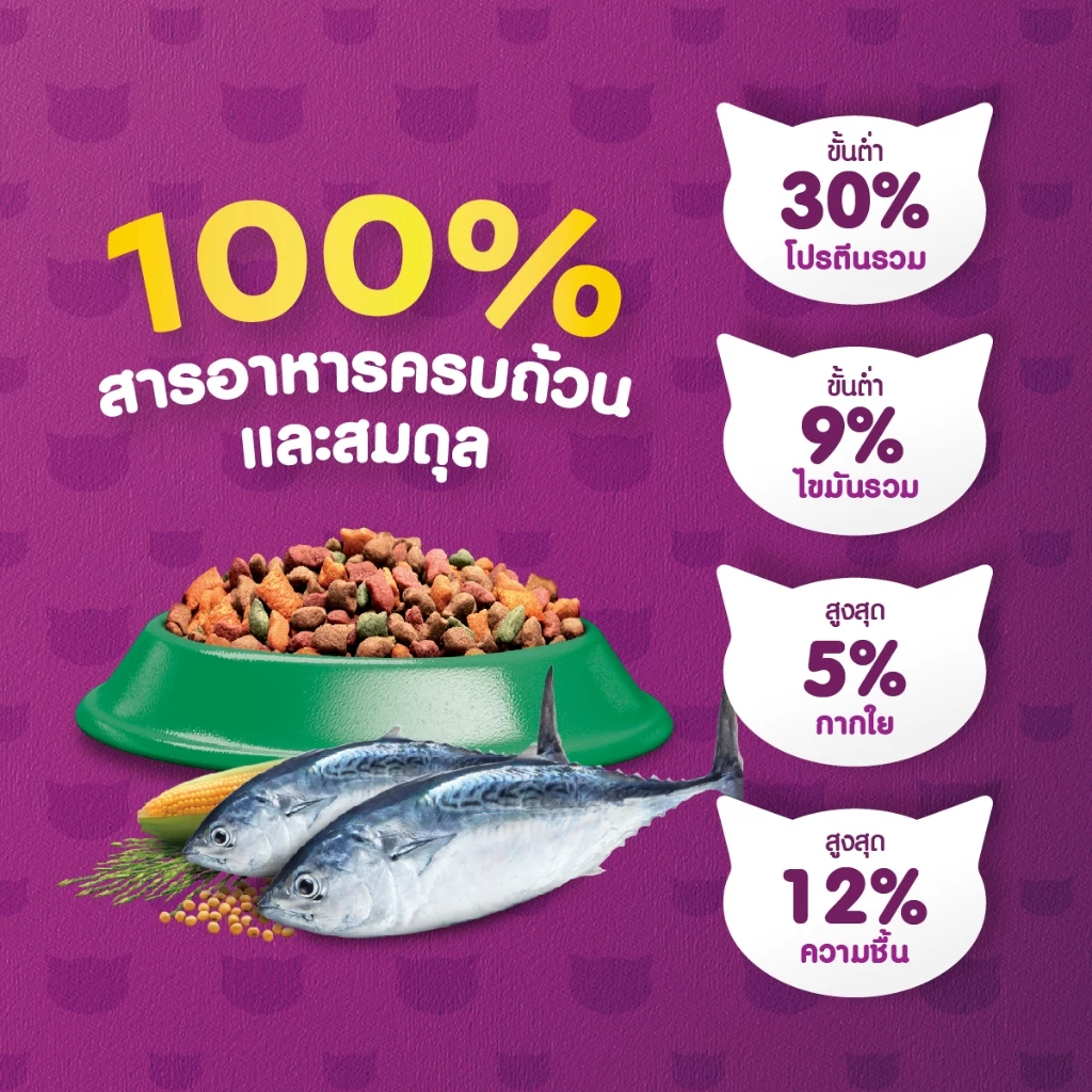 WHISKAS วิสกัส อาหารเม็ดแมวสำหรับแมวโต 3 กก. thumbnail 6