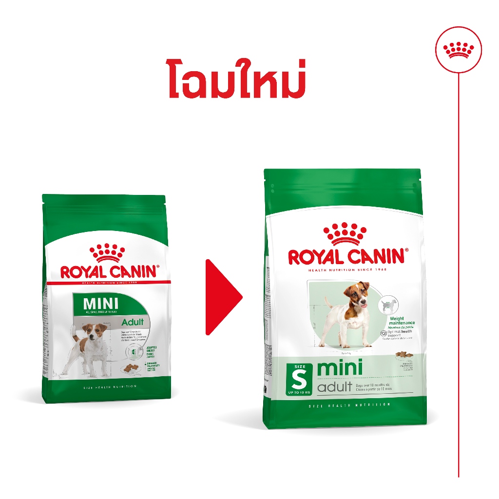 Royal canin Mini Adult2kg(ของใหม่) อาหารเม็ดสุนัขโต พันธุ์เล็ก 2 kg