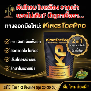 คิงส์ท็อปโปร ปุ๋ยทุเรียนเล็ก เข้มข้นกว่าเดิม