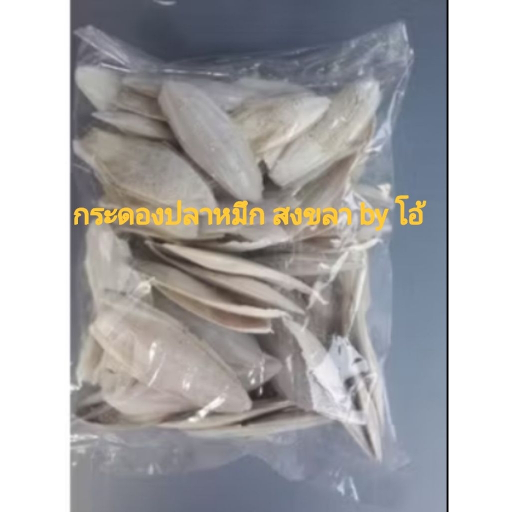 กระดองปลาหมึก ลิ้นทะเล