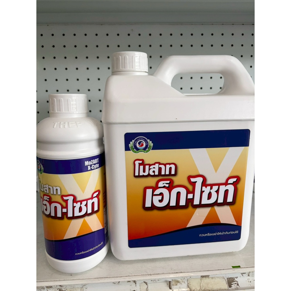 โมสาท เอ็ก-ไซท์ ขนาด 1ลิตร และ 1แกลลอน(5ลิตร) ช่วยให้ดอกแข็งแรงสมบูรณ์ ขั้วเหนียว ลดการหลุดร่วง