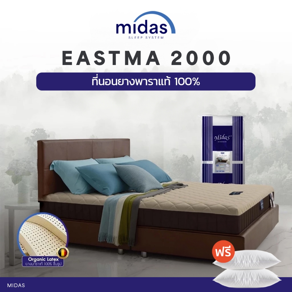 Midas ที่นอนยางพาราธรรมชาติ 100% Organic Latex รุ่น Eastma 2000 - ยางพารา Opened Cell Latex ส่งฟรี