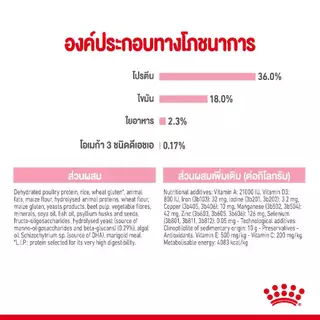 (หมดอายุ 9-2027) ROYAL CANIN KITTEN 2KG ลูกแมวอายุ 4-12 เดือน