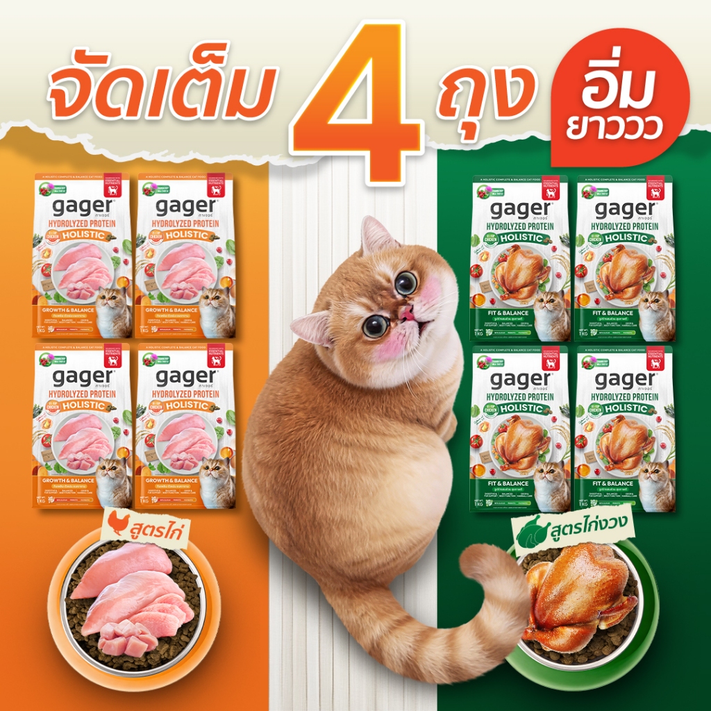 (เซตจัดเต็ม4ถุง) Gager อาหารแมว กาเจอร์ โฮลิสติก เสริมวิตามิน เพื่อสุขภาพแมว (1กิโล4ถุงเลือกสูตร)