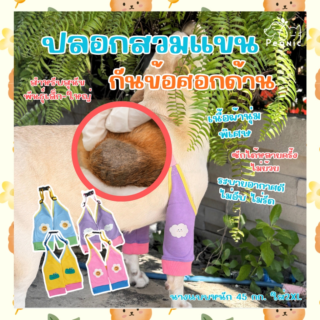 ปลอกขากันข้อศอกด้านหมา นุ่ม ไม่อับ ระบายอากาศดี | Peonic Pets