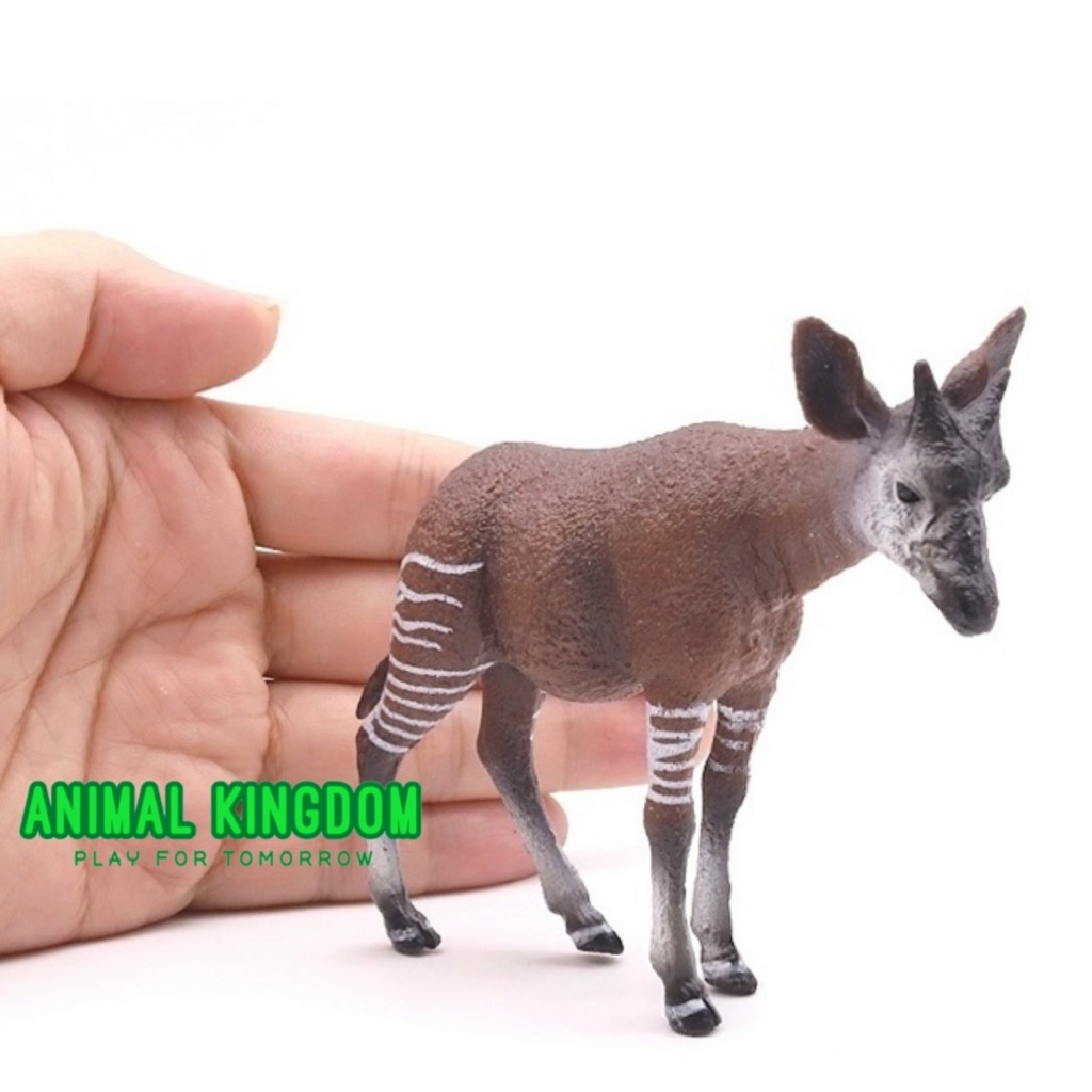 Animal Kingdom โมเดลสัตว์ Okapi โอคาพี ขนาด 10.50 CM (จากหาดใหญ่)