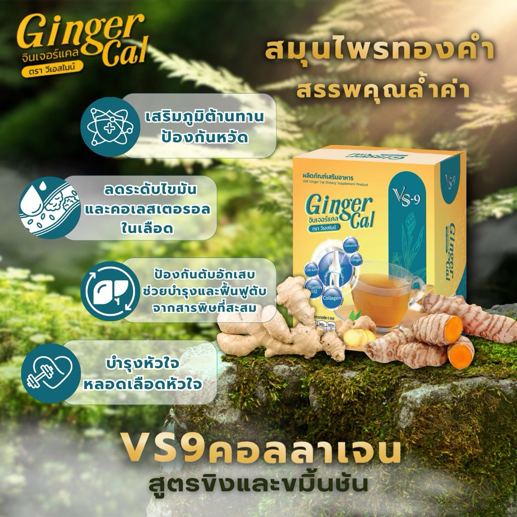 Vs9 Ginger Cal คอลลาเจนสูตรขิงและขมิ้นชัน