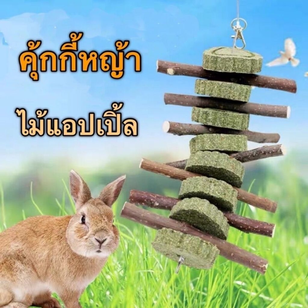 โมบายคุ้กกี้ทิโมธี คุ้กกี้หญ้า สำหรับสัตว์ฟันแทะ ของเล่นคลายเครียด