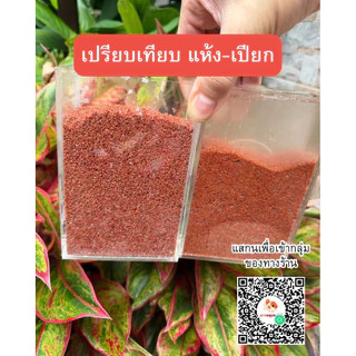 ทรายแดงจีน ถุง 1 กิโล ทรายปลาช่อน ไซส์เม็ด0.5-1มิล ต้องล้าง8-10น้ำก่อนนำไปใช้ แบ่งจากถุงกระสอบ5 กิโล