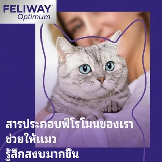 Feliway (ชนิดปลั๊กเสียบ​) ฟีโรโมนสังเคราะห์​ ลดอารมณ์ก้าวร้าว 48ml​ ใช้ได้​ 30​ วัน