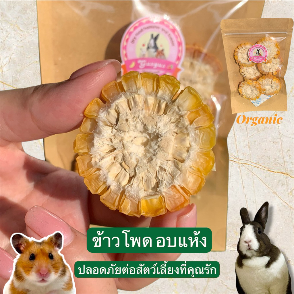 ผลไม้อบแห้งสำหรับสัตว์ฟันแทะ เหมาะกับกระต่ายและแฮมสเตอร์ สัตว์ฟันแทะทุกชนิด Organic,สัตว์ตัวเล็ก น่ารักถูกใจ - รูปที่ 5