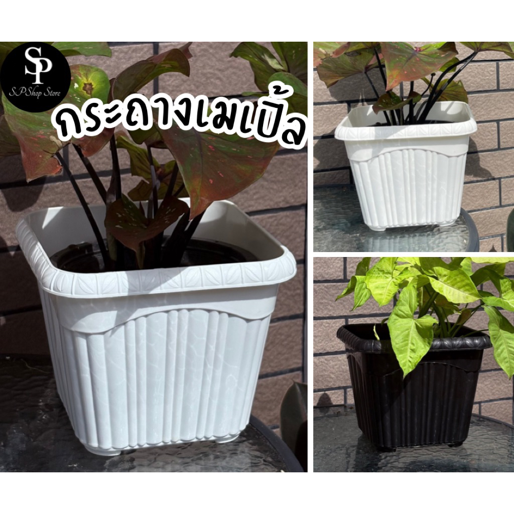 🌻กระถางต้นไม้พลาสติก ทรงสี่เหลี่ยมลายริ้ว