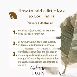 ทรีทเมนท์บำรุงผม เพียงหมักแล้วสระ ลดผมร่วง ทรีทเม้นท์บำรุงผม น้ำมันละหุ่ง ออยล์บำรุงผม ลดรังแค