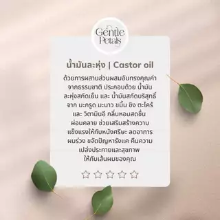 ทรีทเมนท์บำรุงผม เพียงหมักแล้วสระ ลดผมร่วง ทรีทเม้นท์บำรุงผม น้ำมันละหุ่ง ออยล์บำรุงผม ลดรังแค