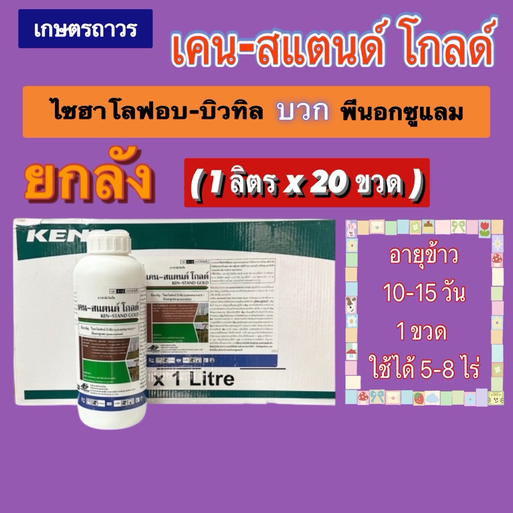 เคน-สแตนด์โกลด์🔥🔥ยกลังถูกมาก( 1 ลิตรx20ขวด )(กดออเดอร์แค่ 1ลังนะคะ) พีนอกซูแรมบวกไซฮาโลฟอปใช้กำจัดหญ้าในนาข้าว