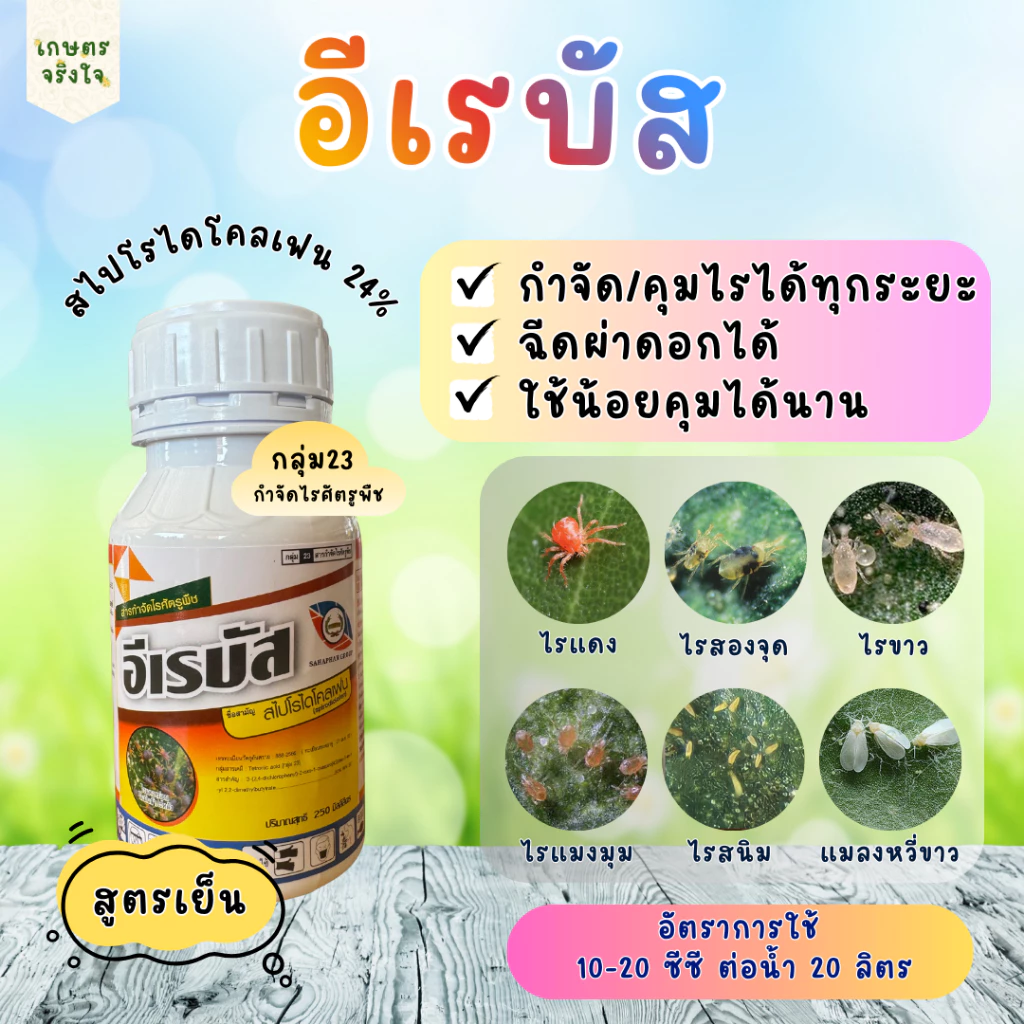 อีเรบัส สไปโรไดโคลเฟน24% (100/250ซีซี) กำจัด-คุมไรได้ทุกชนิดทุกระยะ ไรแดง ไรขาว ไรแมงมุม แมลงหวีขาว