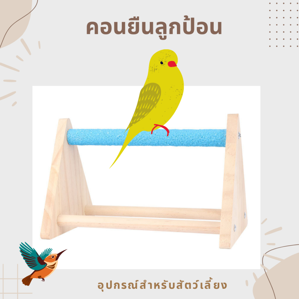 คอนลูกป้อน คอนยืนลับเล็บ คอนไม้ตั้งพื้น แข็งแรง อุปกรณ์เลี้ยงนก