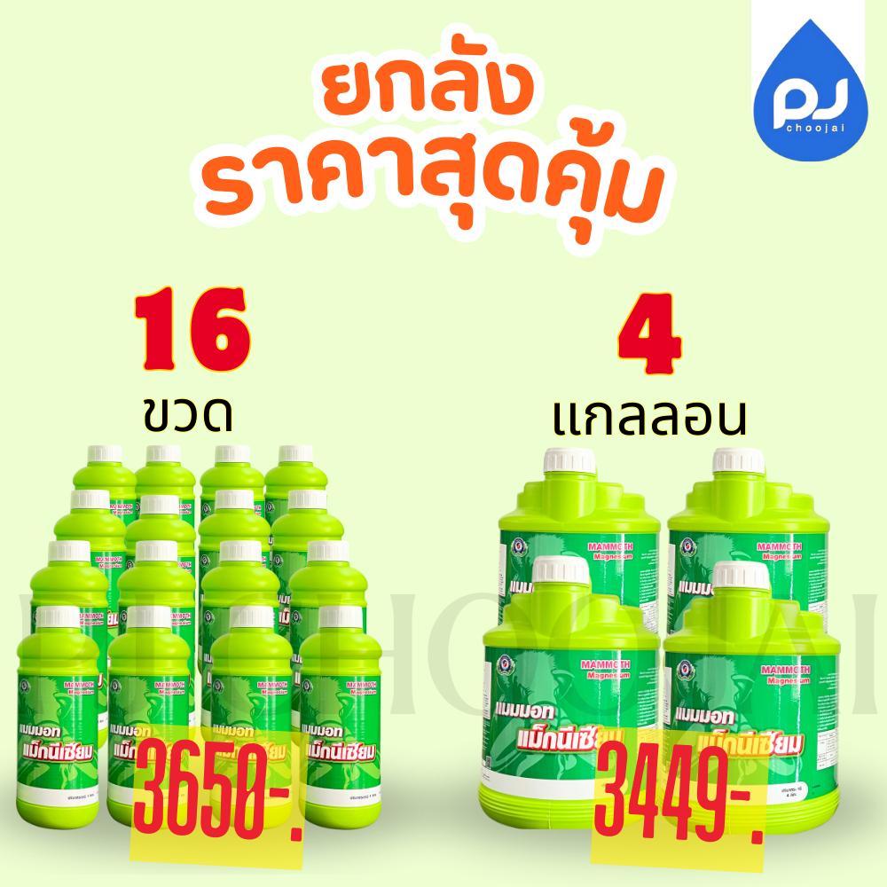 อาหารเสริมแมมมอท แม็กนีเซียม - รูปที่ 2