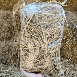 ฟางคลุมดินฟางข้าวแห้งสนิท100%ฟางใหม่ๆฟางนาปีจากธรรมชาติ1ถุง5…
