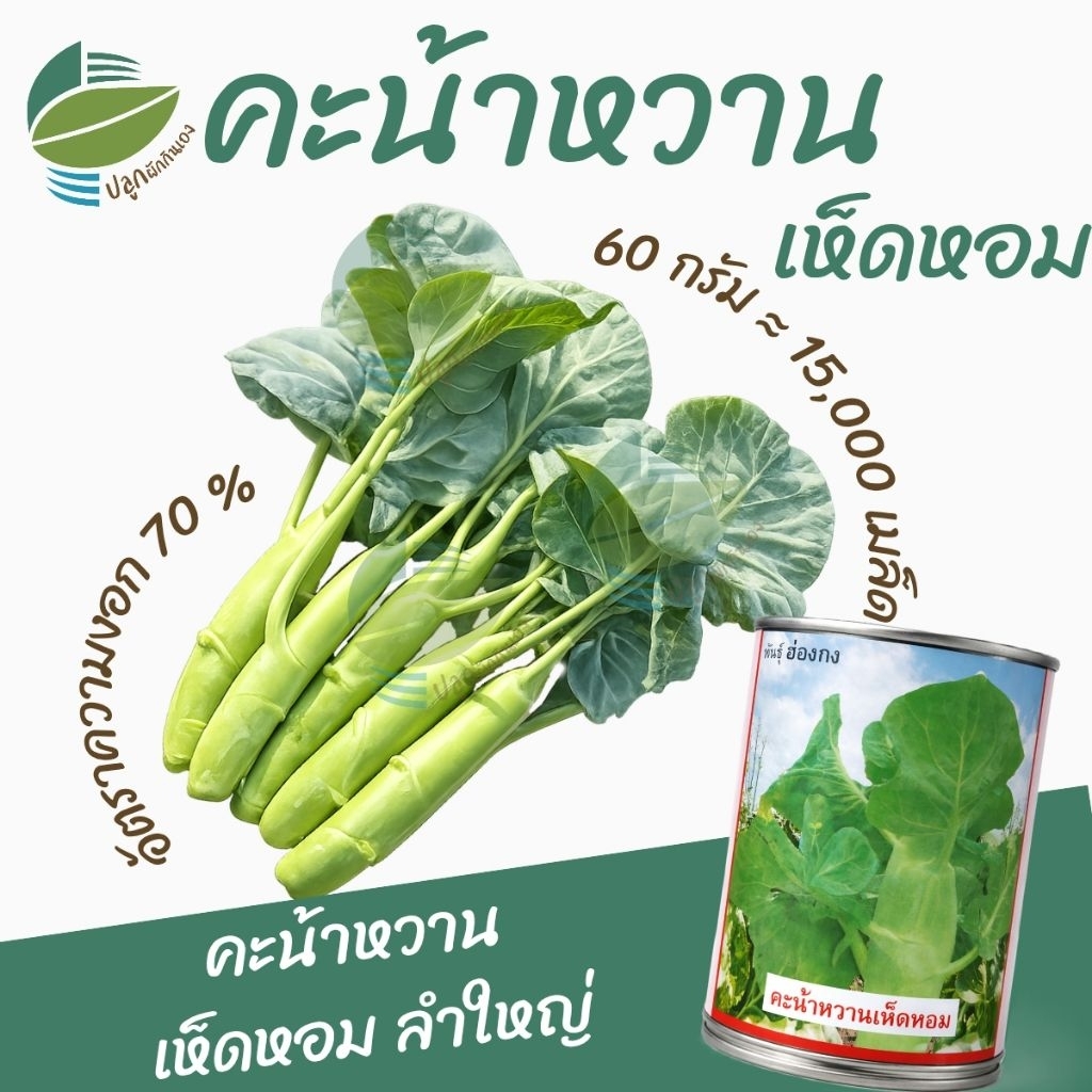 เมล็ดพันธุ์ คะน้าเห็ดหอม ตราลูกโลก (60กรัม)